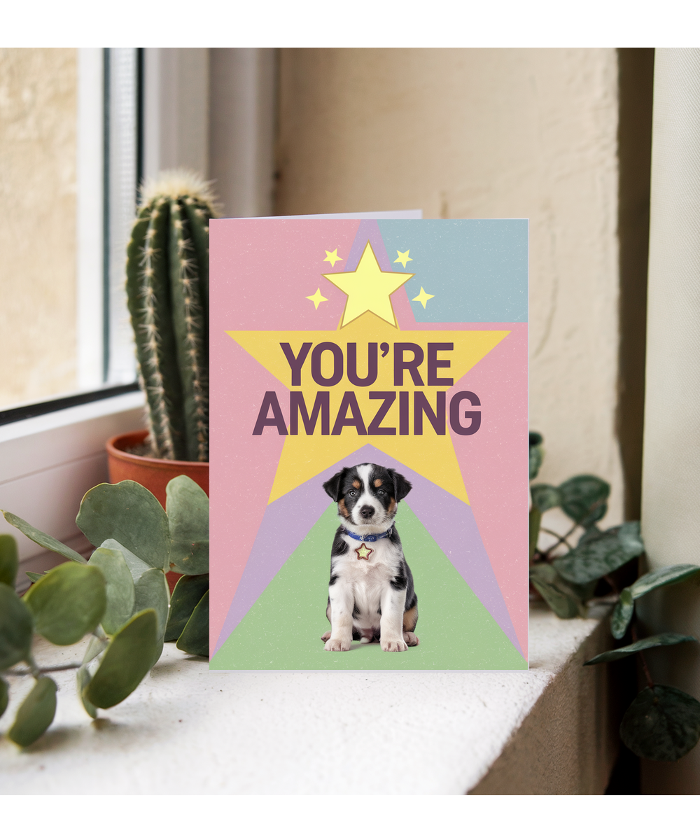 You're Amazing - Puppy with a Star