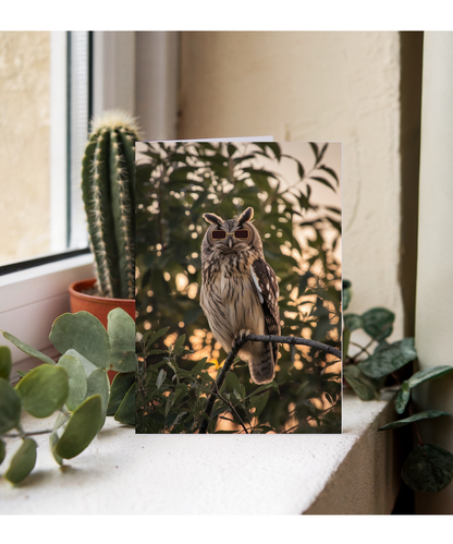 Owl in Tiny Sunglasses