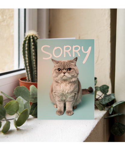 Sorry with Cat with Sad Eyes