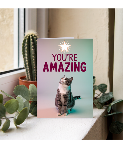 You're Amazing with Cat with a Star