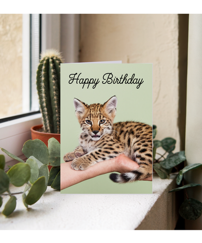 Birthday card Miniture wild cat cute funny