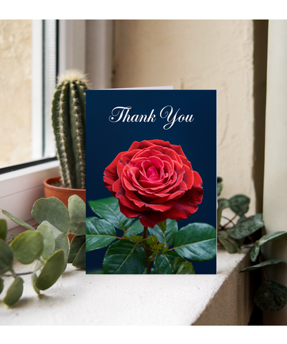 Thank You - Red Rose Elegance