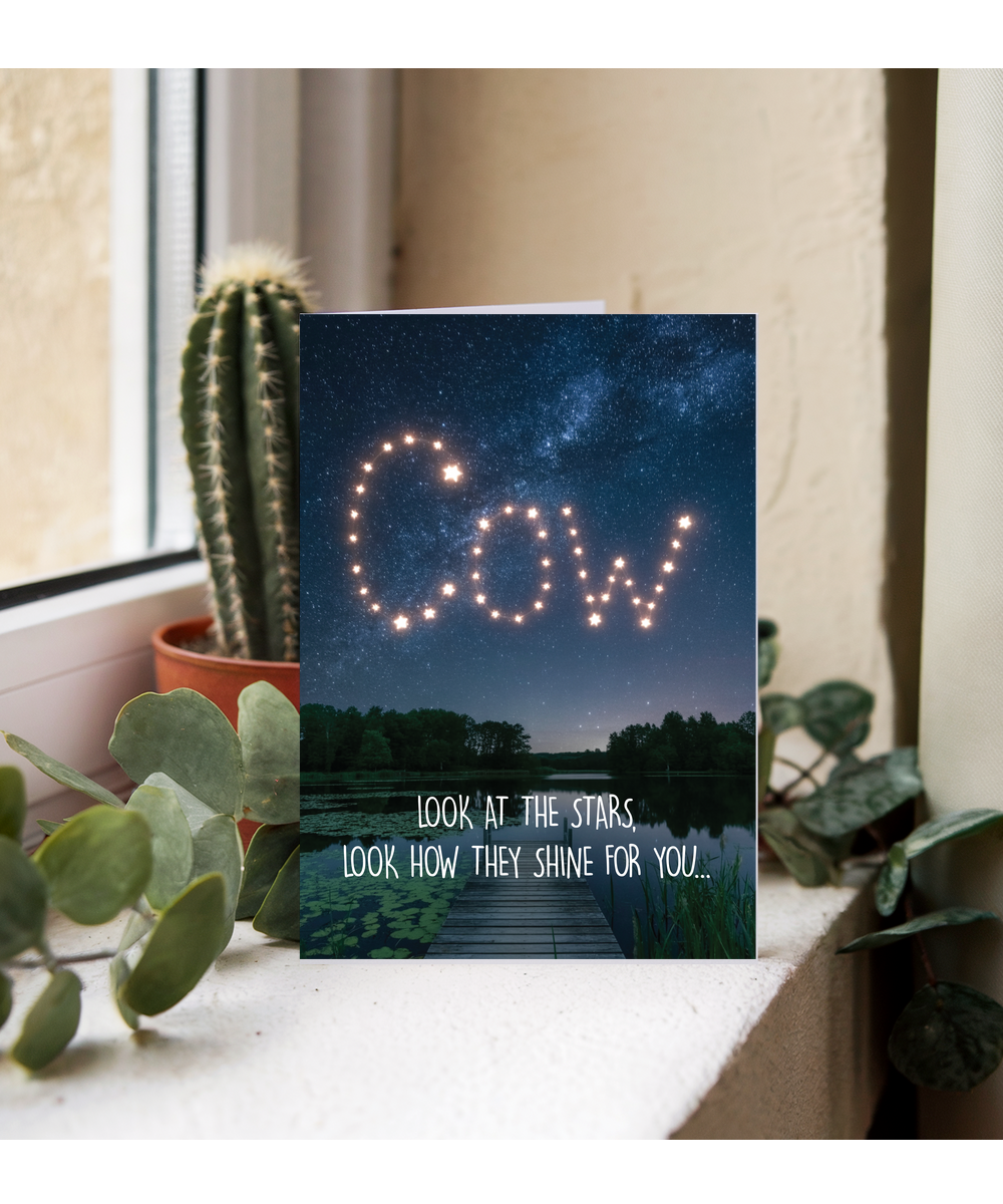Look at the stars cow