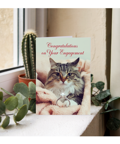 Congratulations on Your Engagement with Cat with a Ring