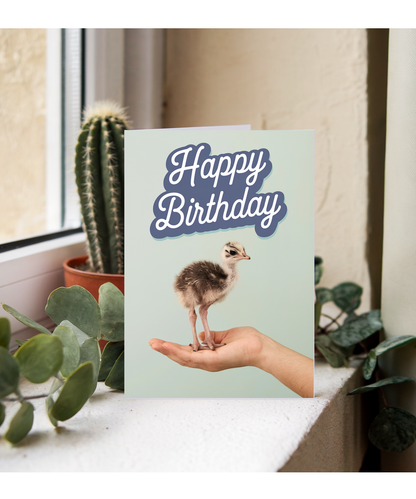 Birthday card Miniture ostrich cute funny