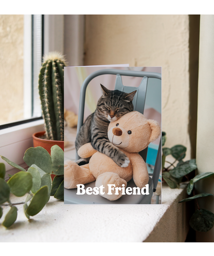 Best Friend with Cat Hugging a Teddy Bear