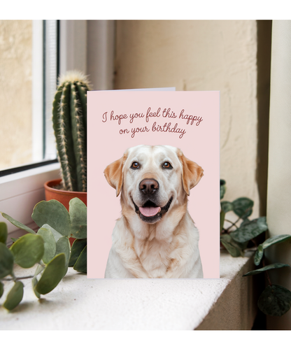 Happy Birthday Card Funny Dog feel happy Labrador