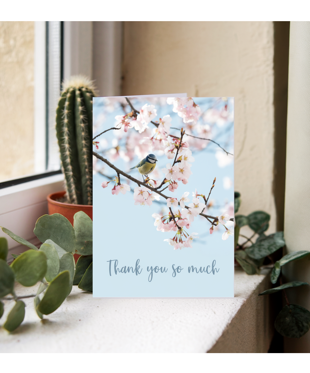 cherry blossom tree thank you very much