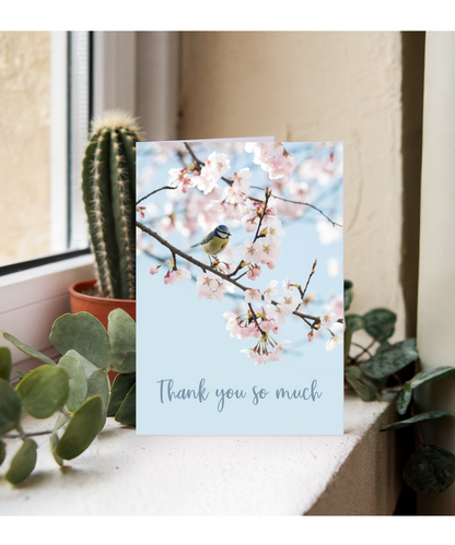 cherry blossom tree thank you very much