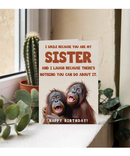I laugh because you are my sister orangutans