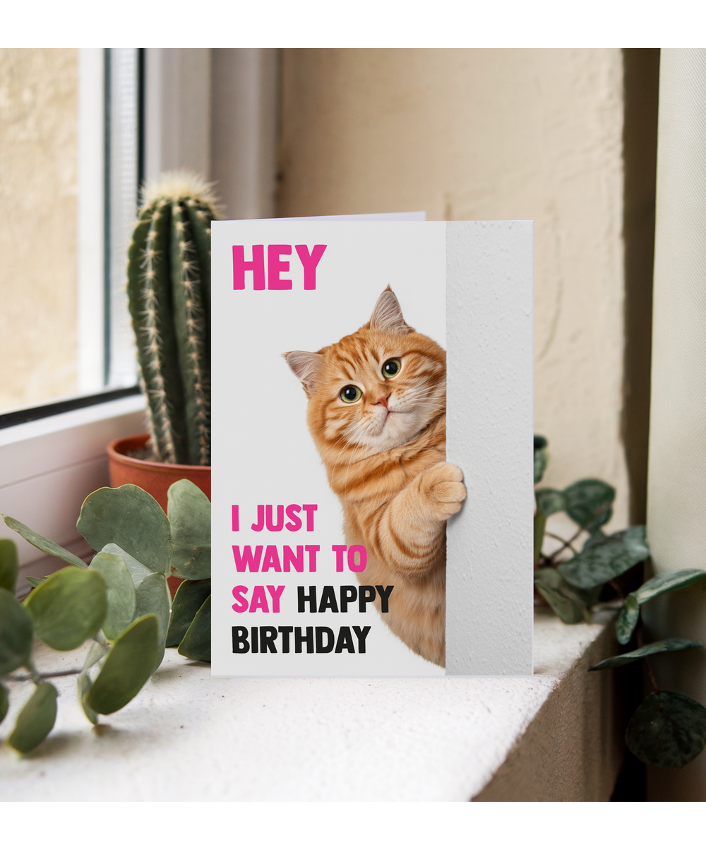 Funny Cat Birthday Card Hey I Just Want to Say Happy Birthday