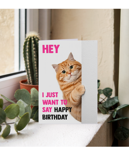 Funny Cat Birthday Card Hey I Just Want to Say Happy Birthday