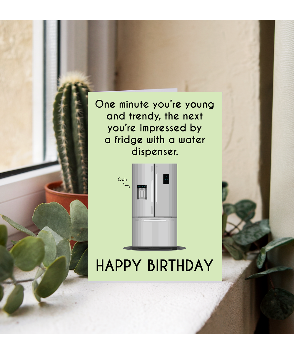 One minute you're young, the next your impressed by a fridge