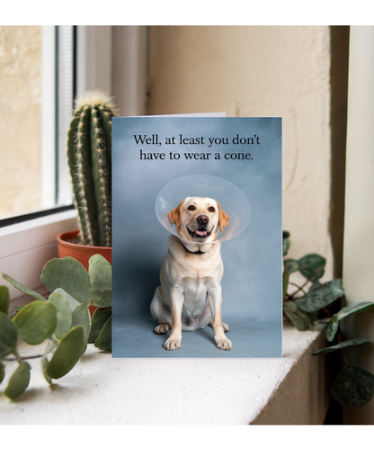 Dog Wearing Cone Feel Better Soon