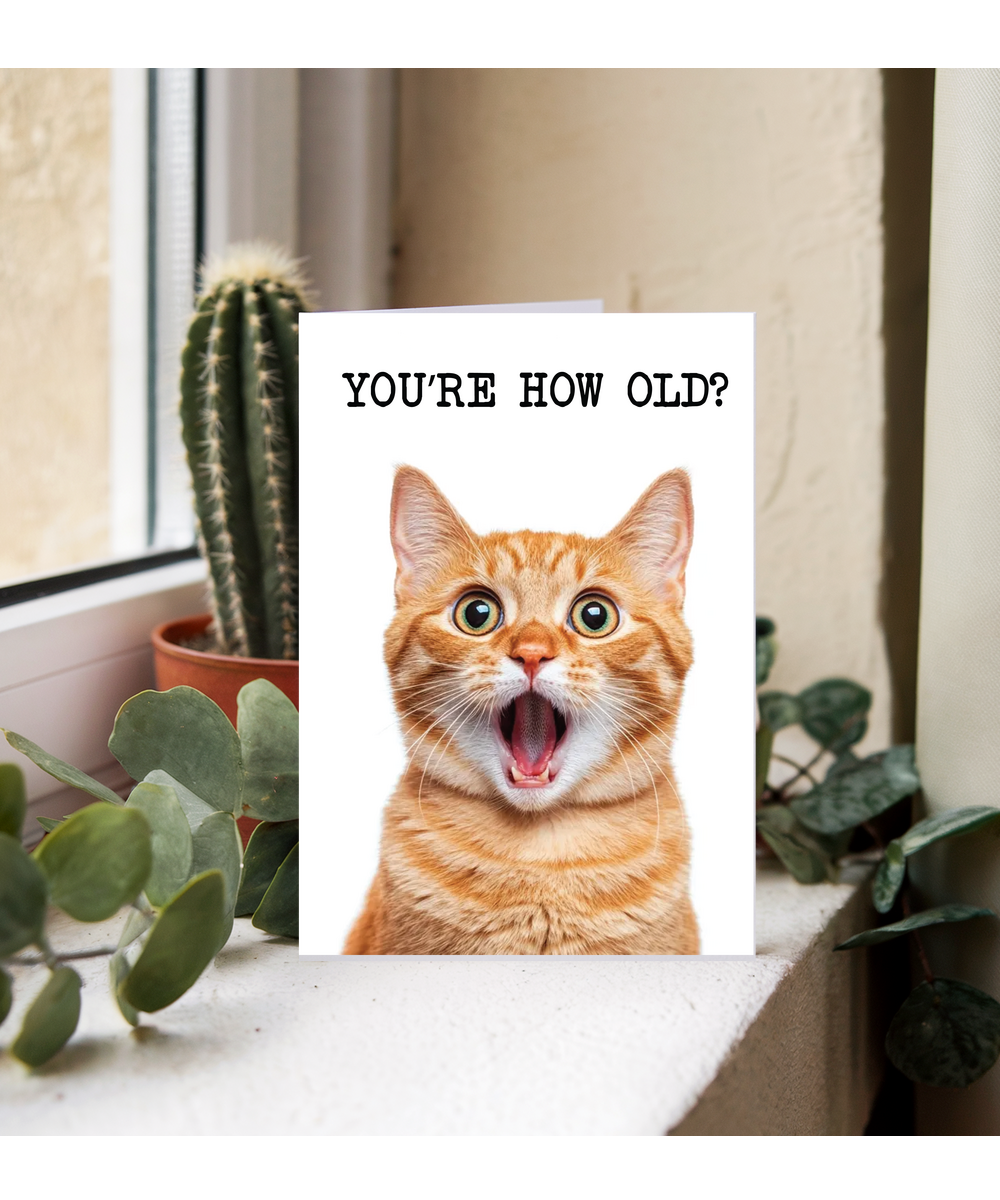 You're how old kitty