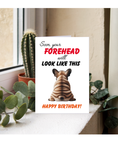 Funny Aging Birthday Card Soon Your Forehead Is Going to Look Like This