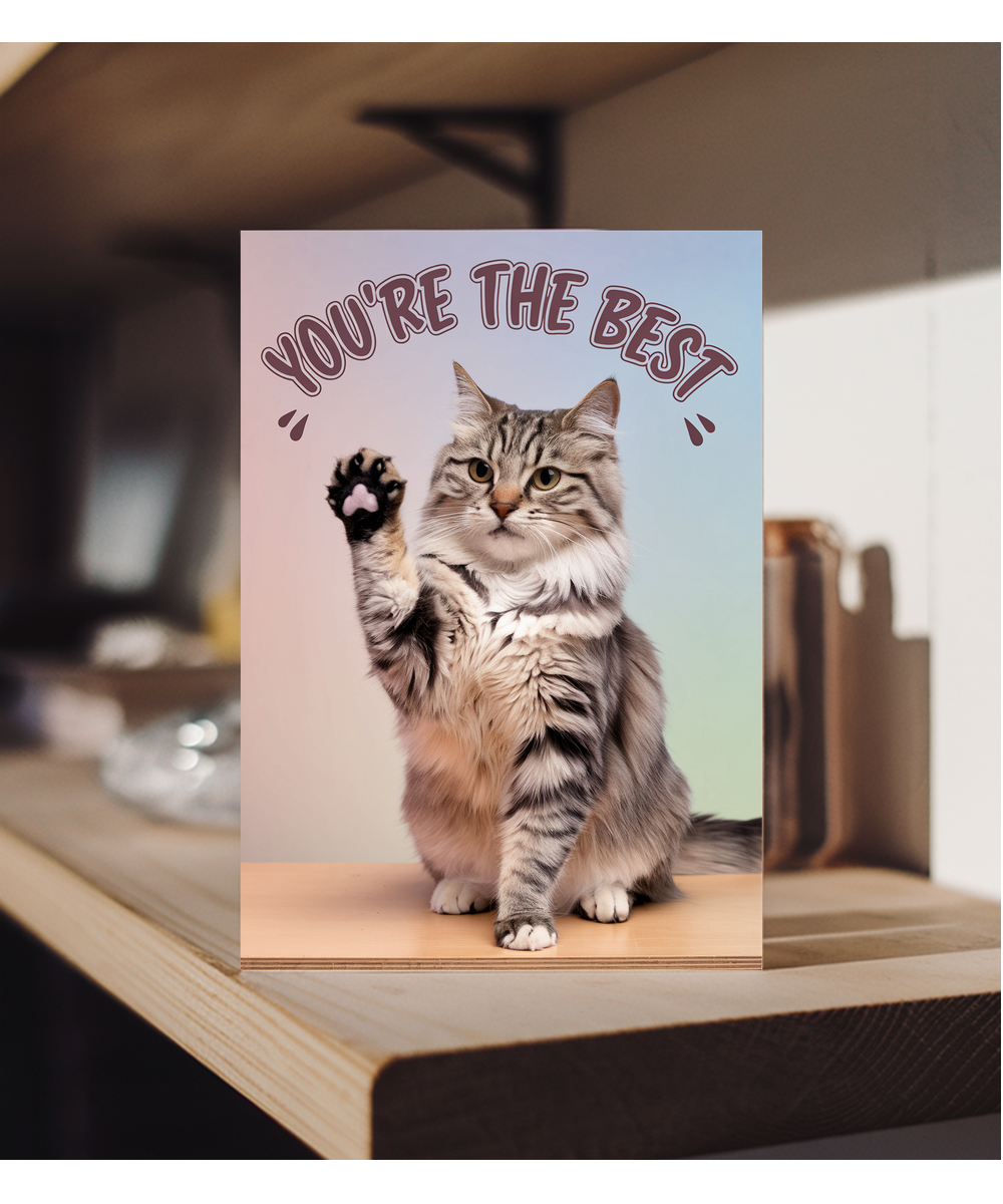 You're the Best with Cat Giving a High Five