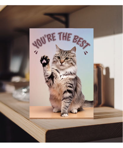 You're the Best with Cat Giving a High Five