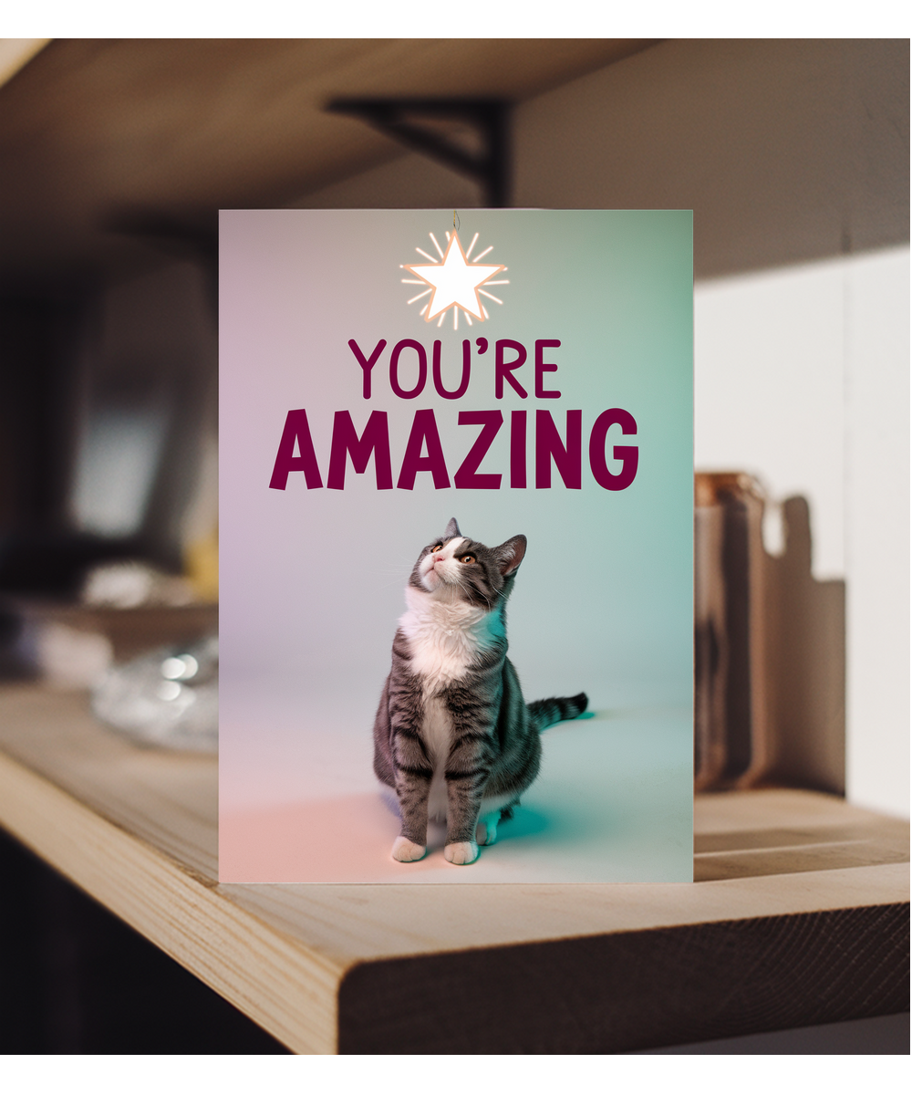 You're Amazing with Cat with a Star