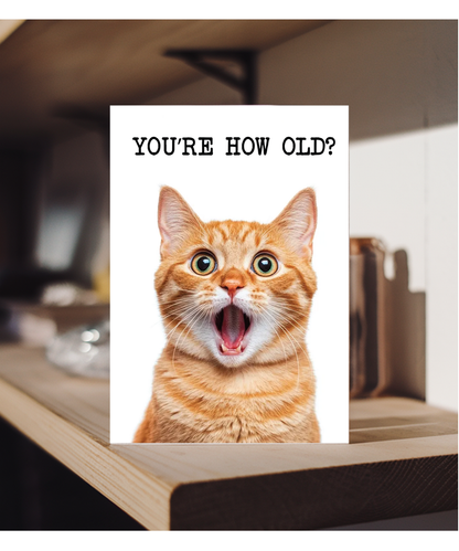 You're how old kitty