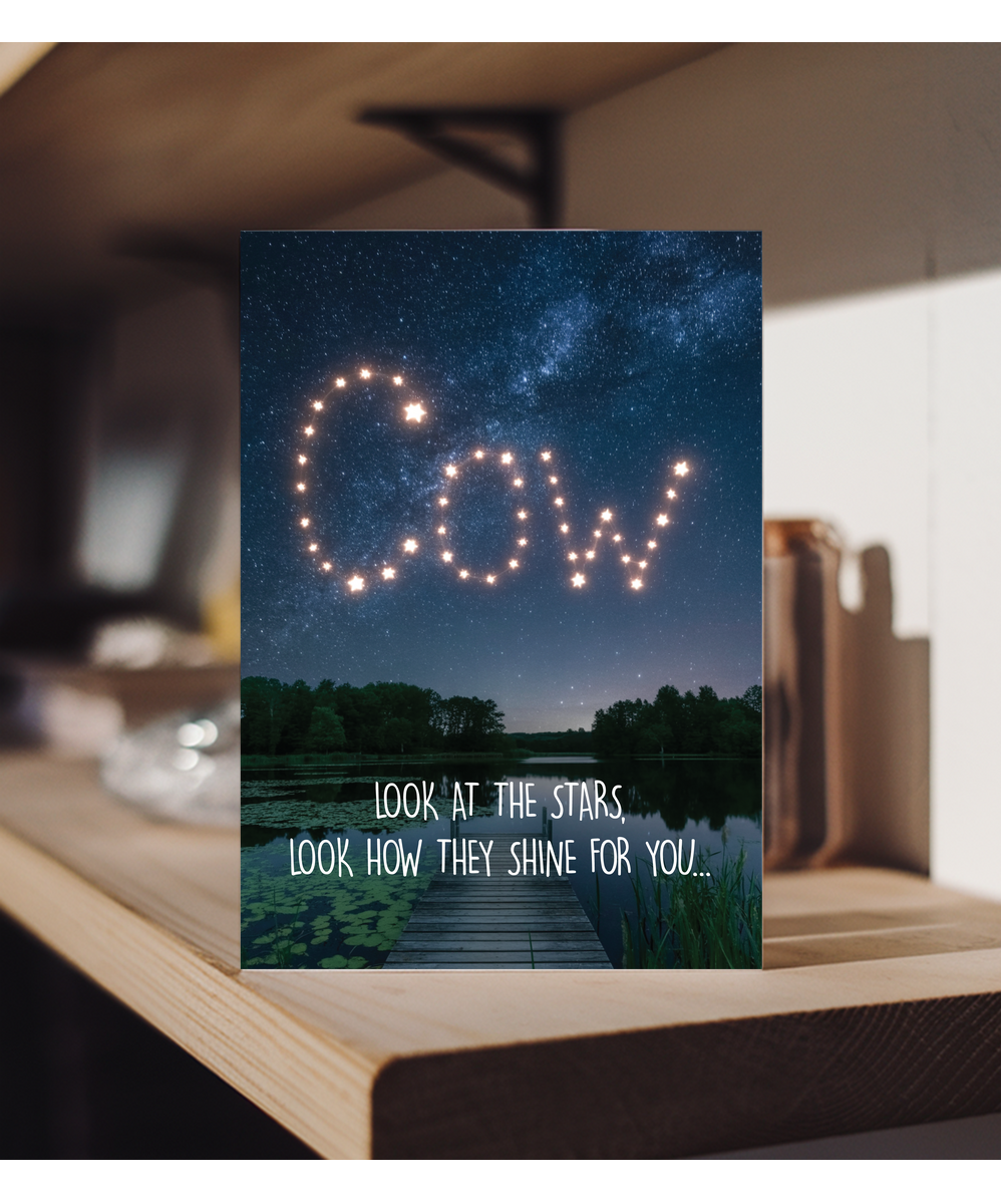 Look at the stars cow