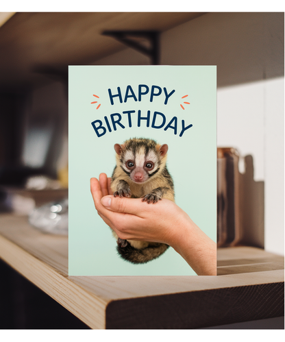 Birthday card Miniture civet cute funny