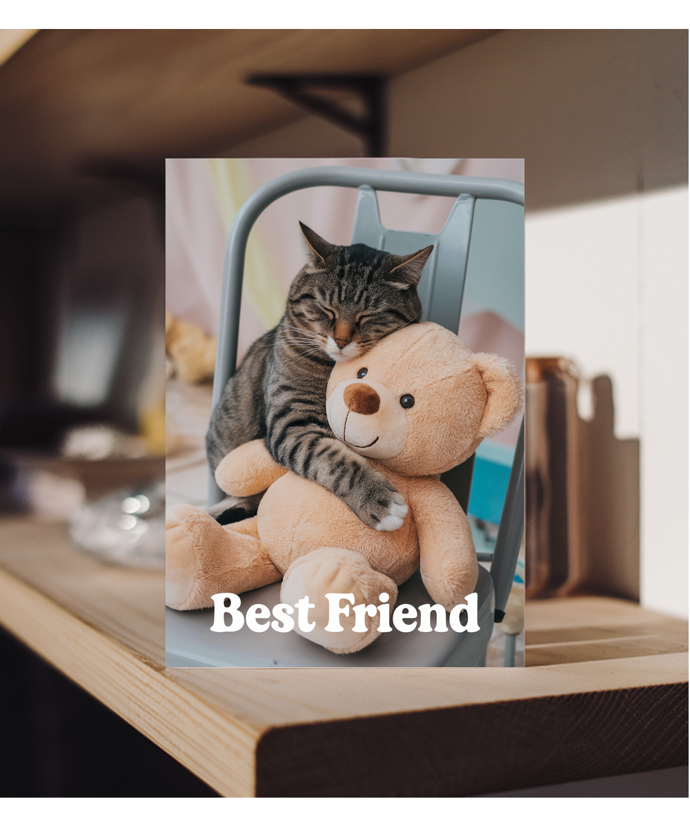 Best Friend with Cat Hugging a Teddy Bear