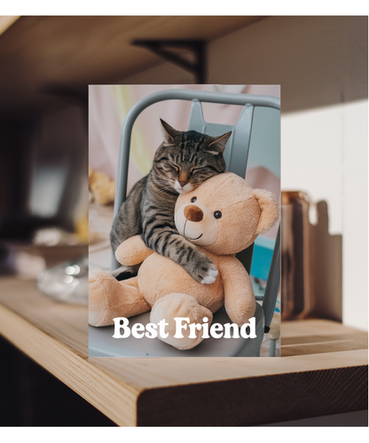 Best Friend with Cat Hugging a Teddy Bear