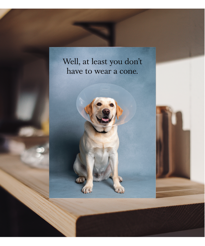 Dog Wearing Cone Feel Better Soon