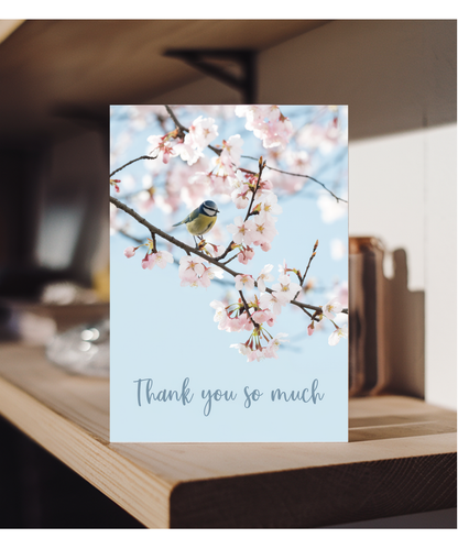 cherry blossom tree thank you very much