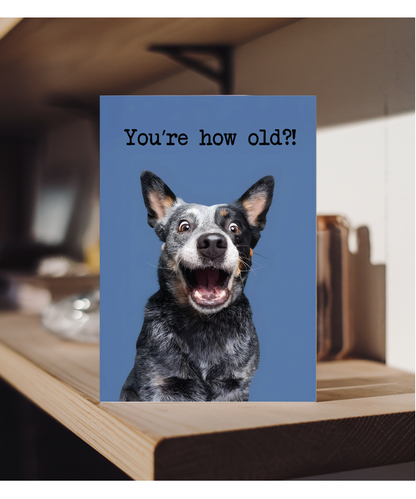 You're how old