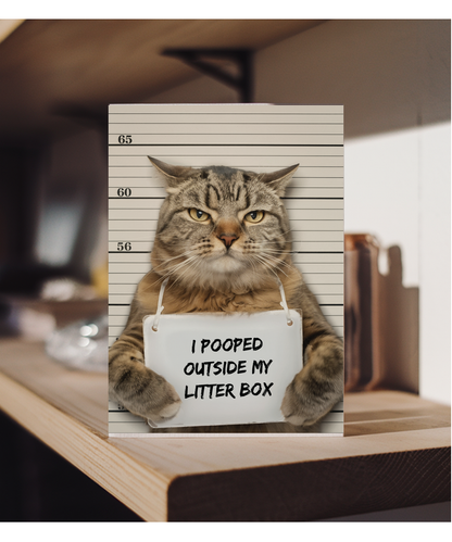 naughty tabby cat