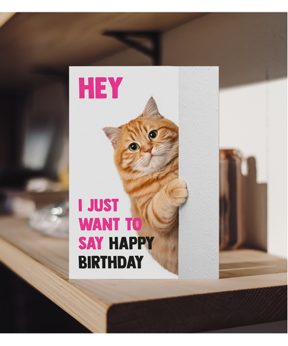 Funny Cat Birthday Card Hey I Just Want to Say Happy Birthday