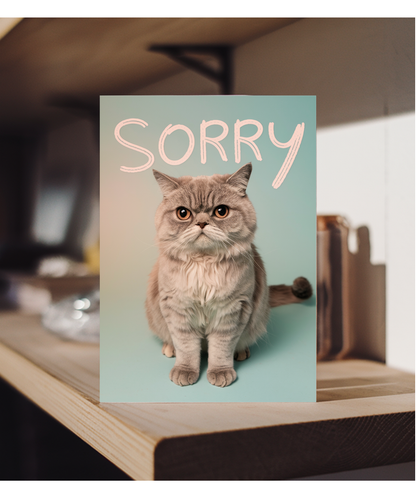 Sorry with Cat with Sad Eyes