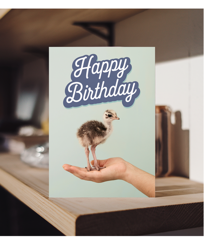 Birthday card Miniture ostrich cute funny