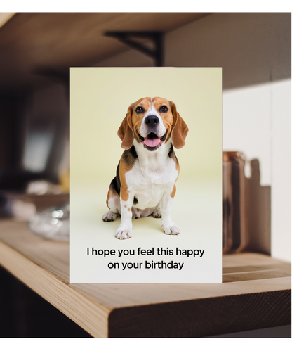 Cute birthday Card I hope you feel this happy on your birthday beagle