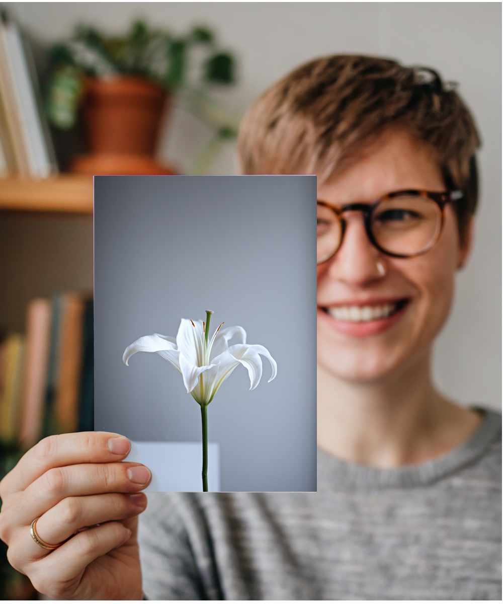 Single elegant white lily