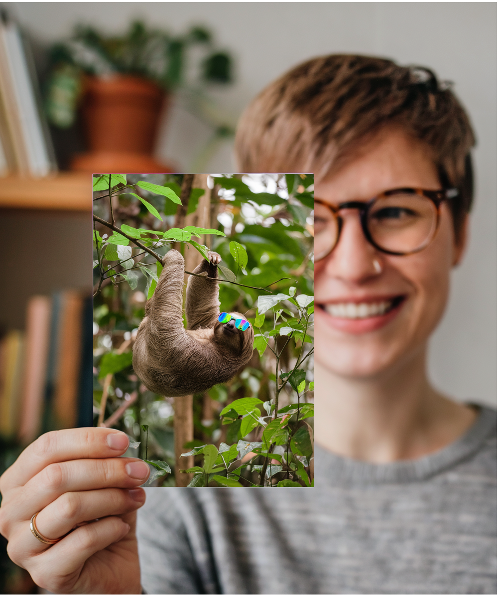 Sloth in Rainbow Shades