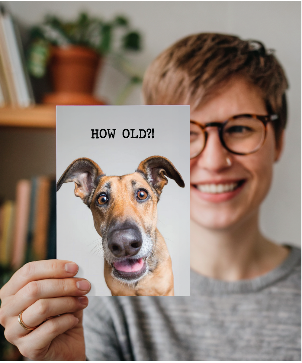 How old funny dog