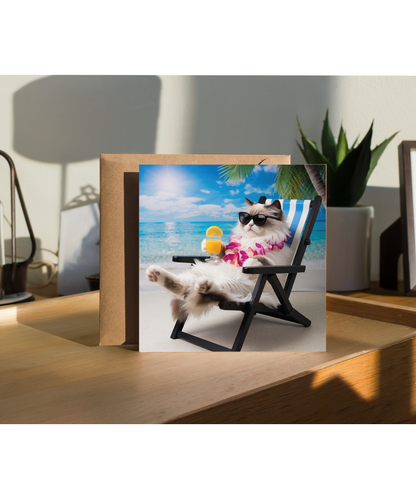 ragdoll cat on the beach