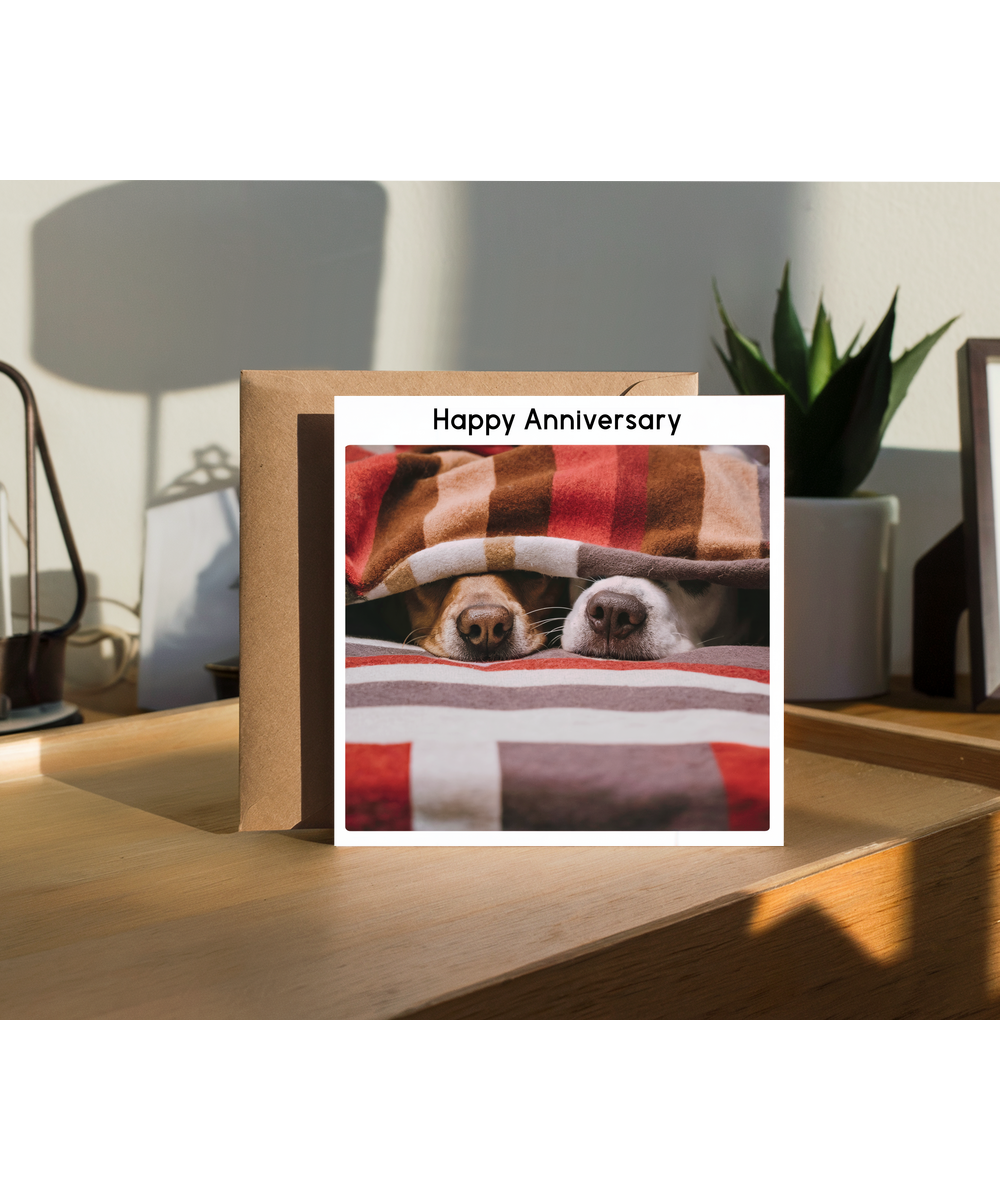 happy anniversary Two dogs peeking