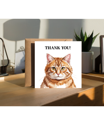 Thank you orange cat