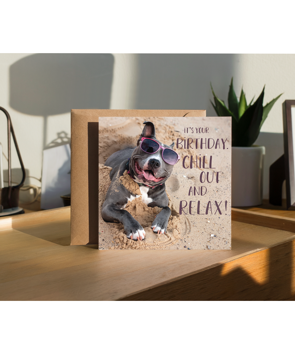 Staffordshire Bull Terrier your birthday chill out and relax