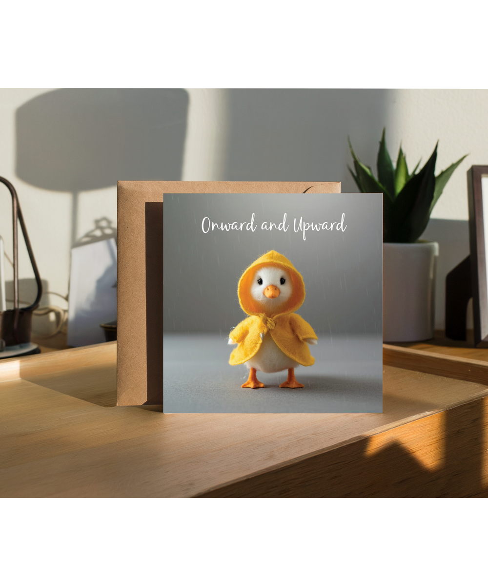 2D Felt style duck raincoat onward and upward