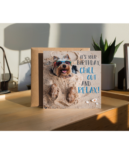yorkshire terrier it's your birthday chill out and relax