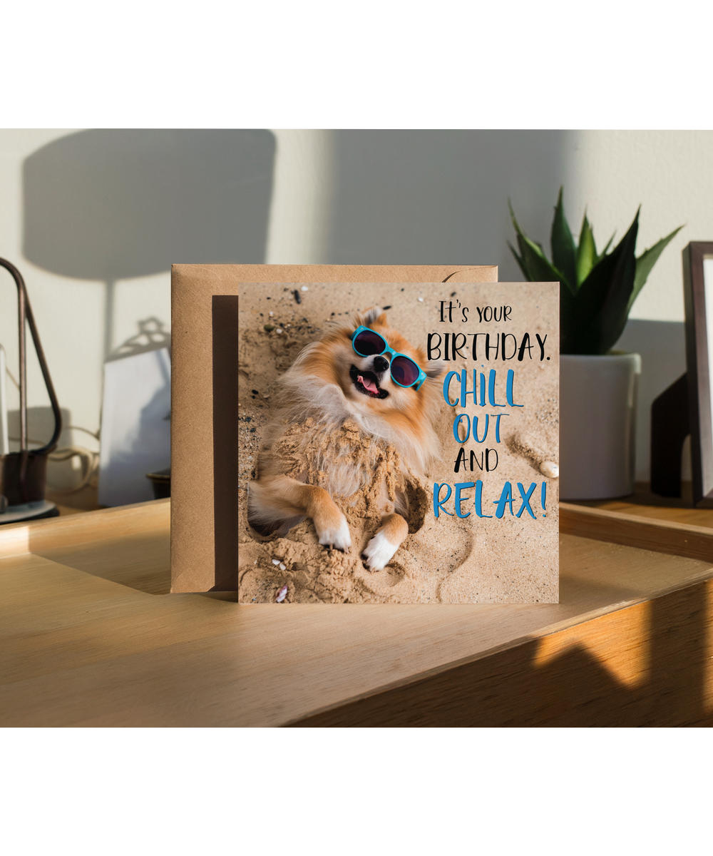 pomeranian it's your birthday chill out and relax