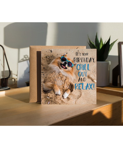pomeranian it's your birthday chill out and relax