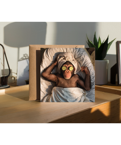 funny pampered chimpanzee