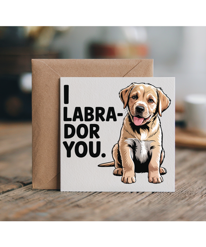 I labrador you