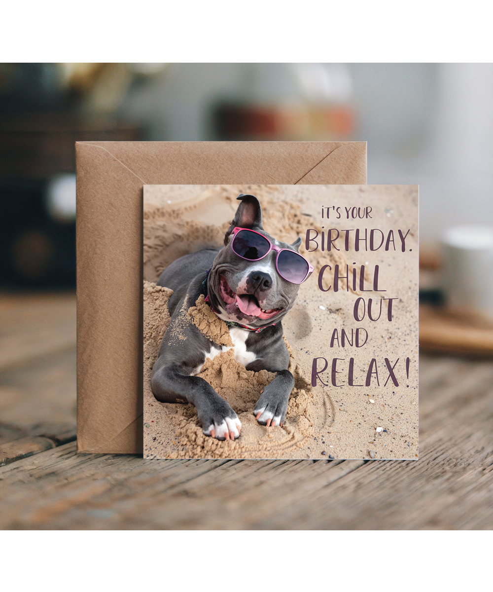 Staffordshire Bull Terrier your birthday chill out and relax